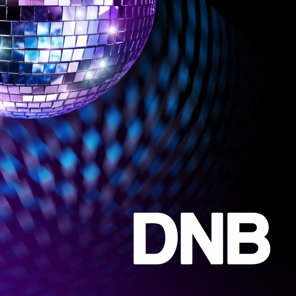 Исполнитель «DNB» — постер